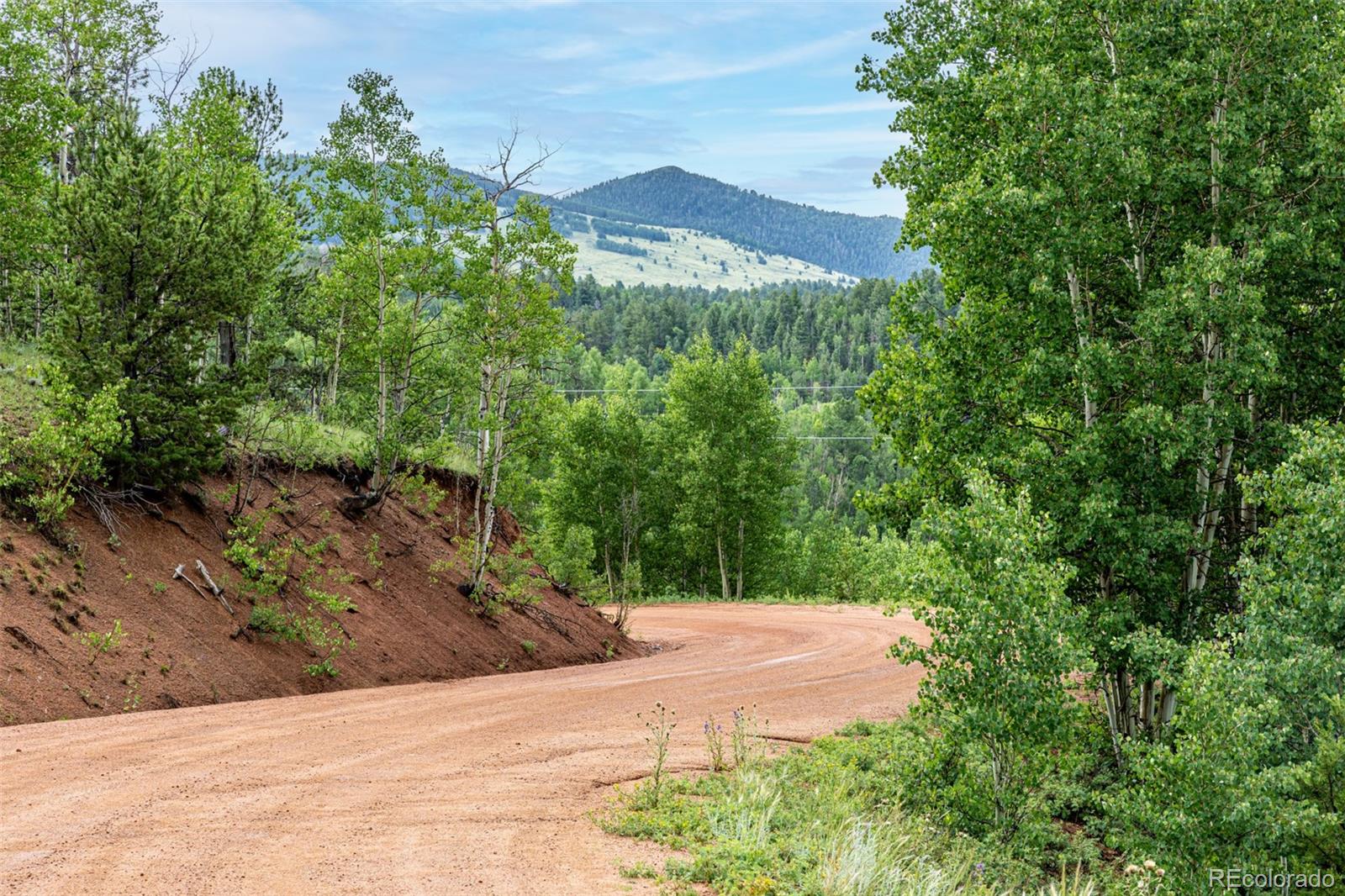 1693 Golden Cycle Circle Cripple Creek CO 80813
