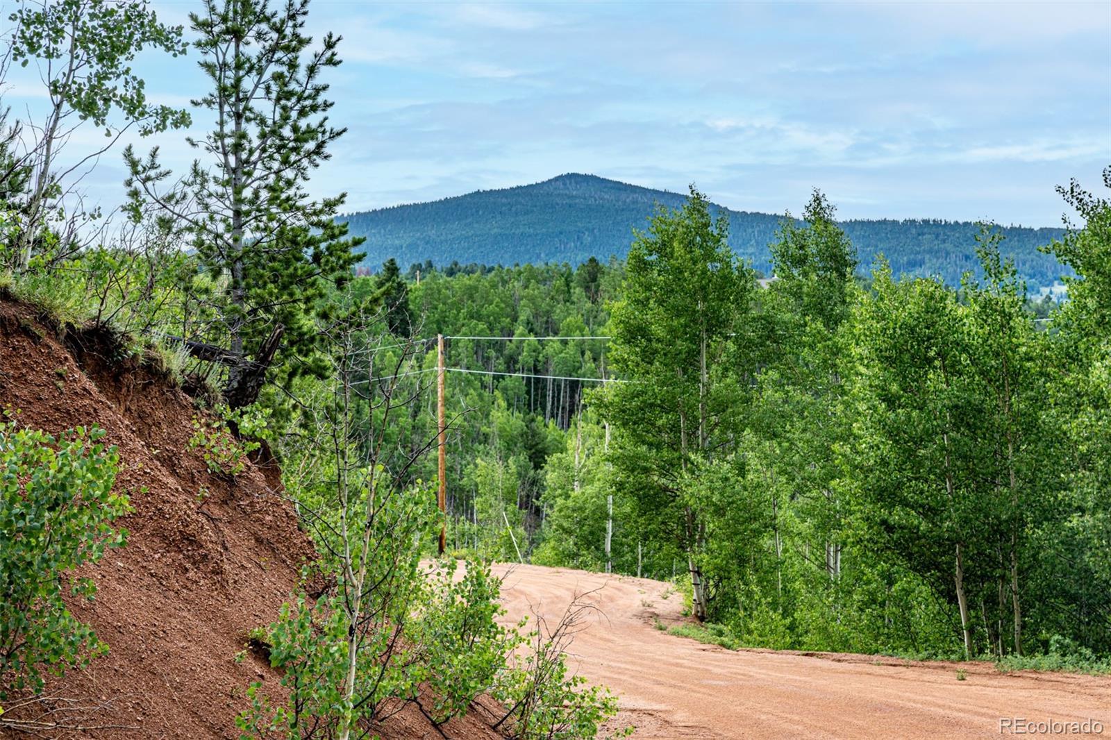 1693 Golden Cycle Circle Cripple Creek CO 80813