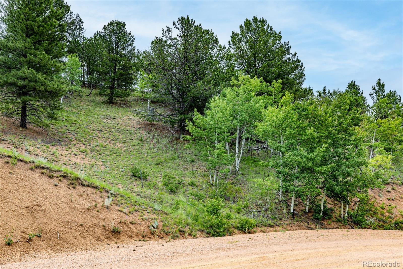 1693 Golden Cycle Circle Cripple Creek CO 80813