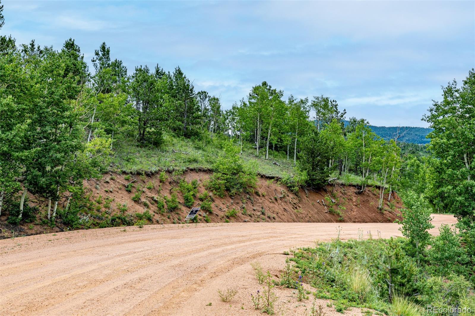 1693 Golden Cycle Circle Cripple Creek CO 80813