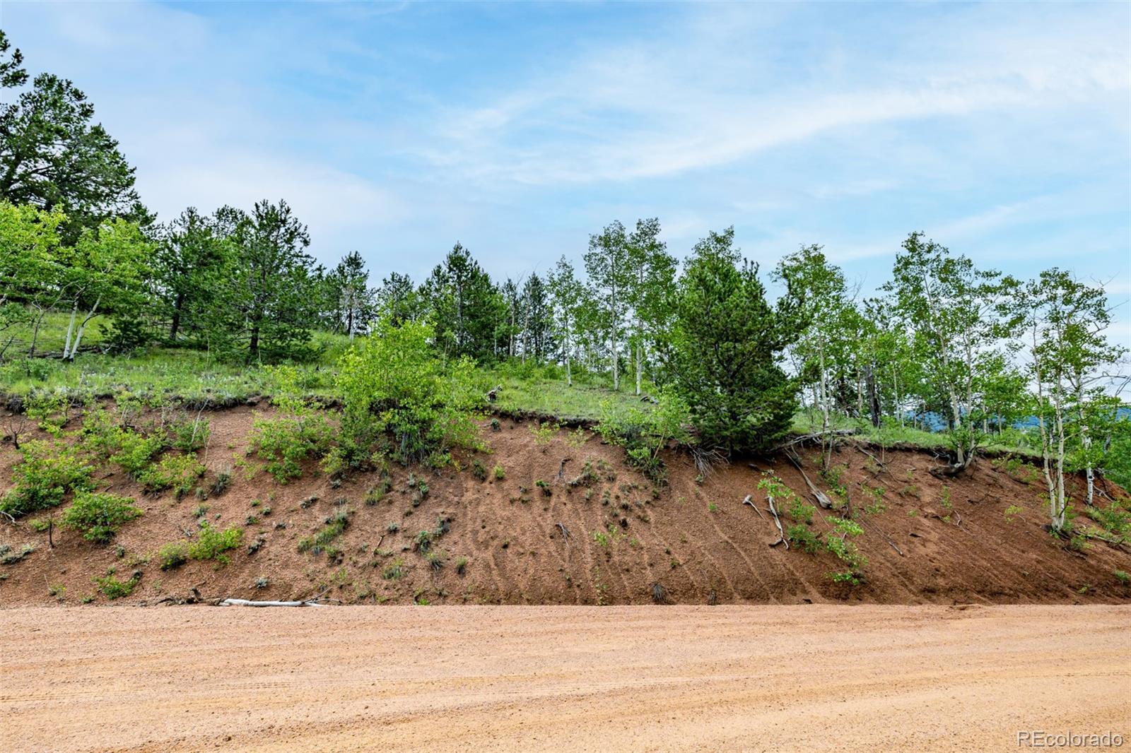 1693 Golden Cycle Circle Cripple Creek CO 80813