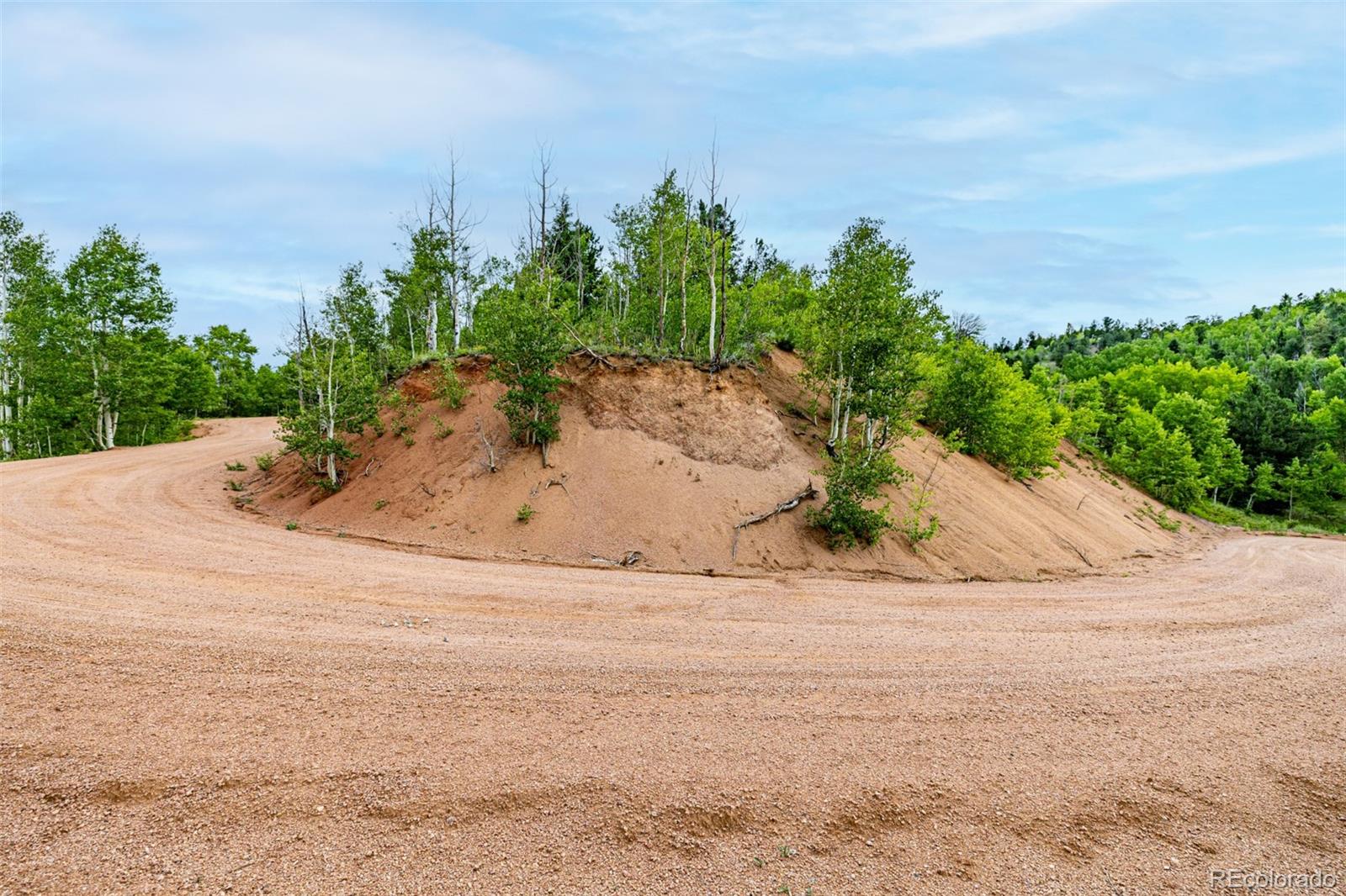 1693 Golden Cycle Circle Cripple Creek CO 80813