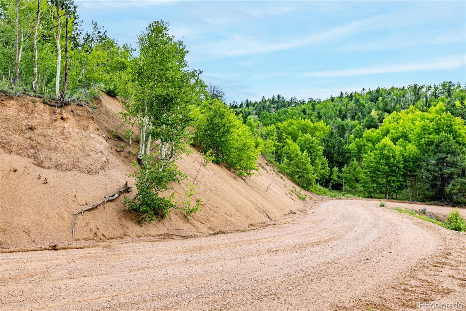 1693 Golden Cycle Circle Cripple Creek CO 80813