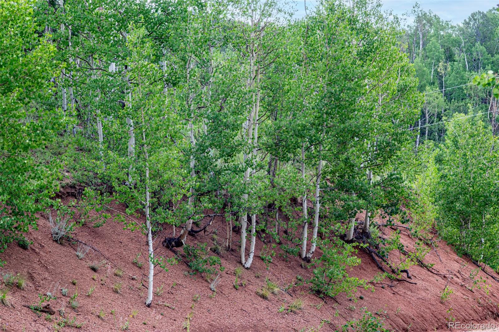 1693 Golden Cycle Circle Cripple Creek CO 80813