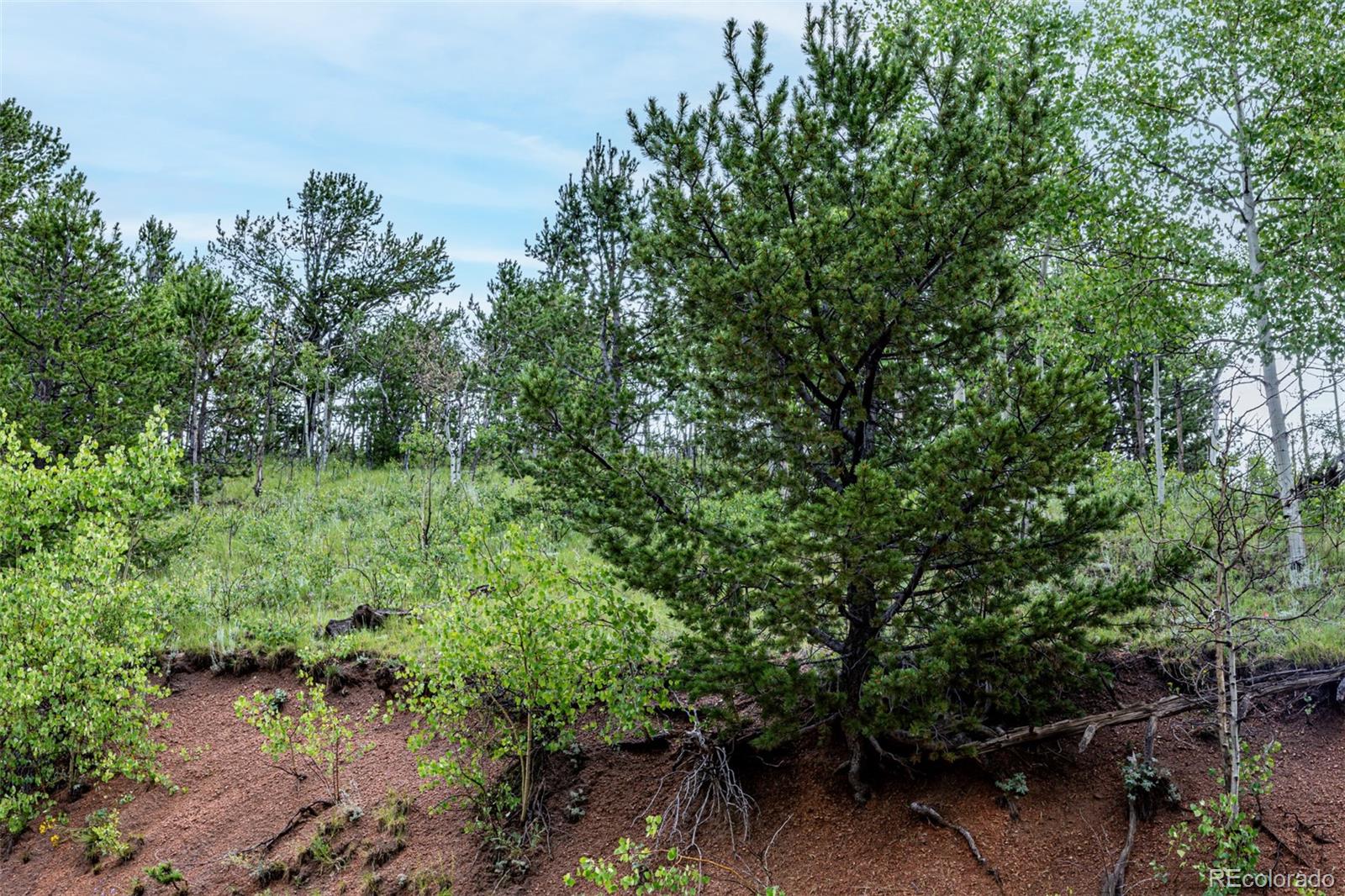 1693 Golden Cycle Circle Cripple Creek CO 80813