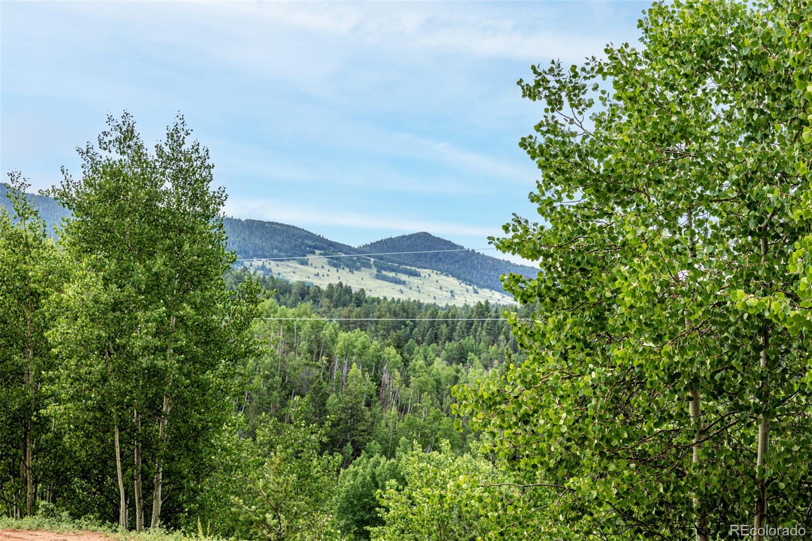 1693 Golden Cycle Circle Cripple Creek CO 80813