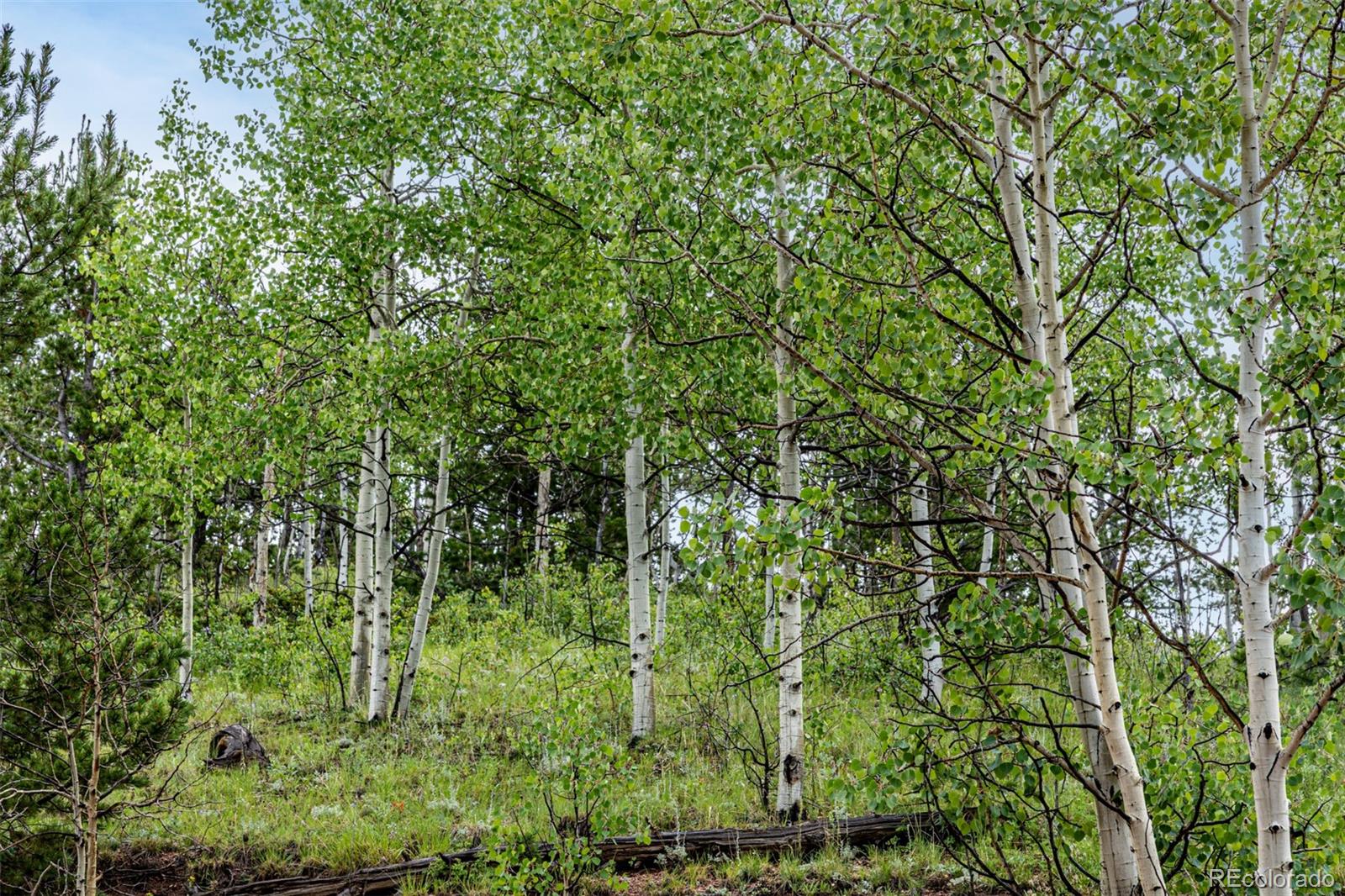 1693 Golden Cycle Circle Cripple Creek CO 80813