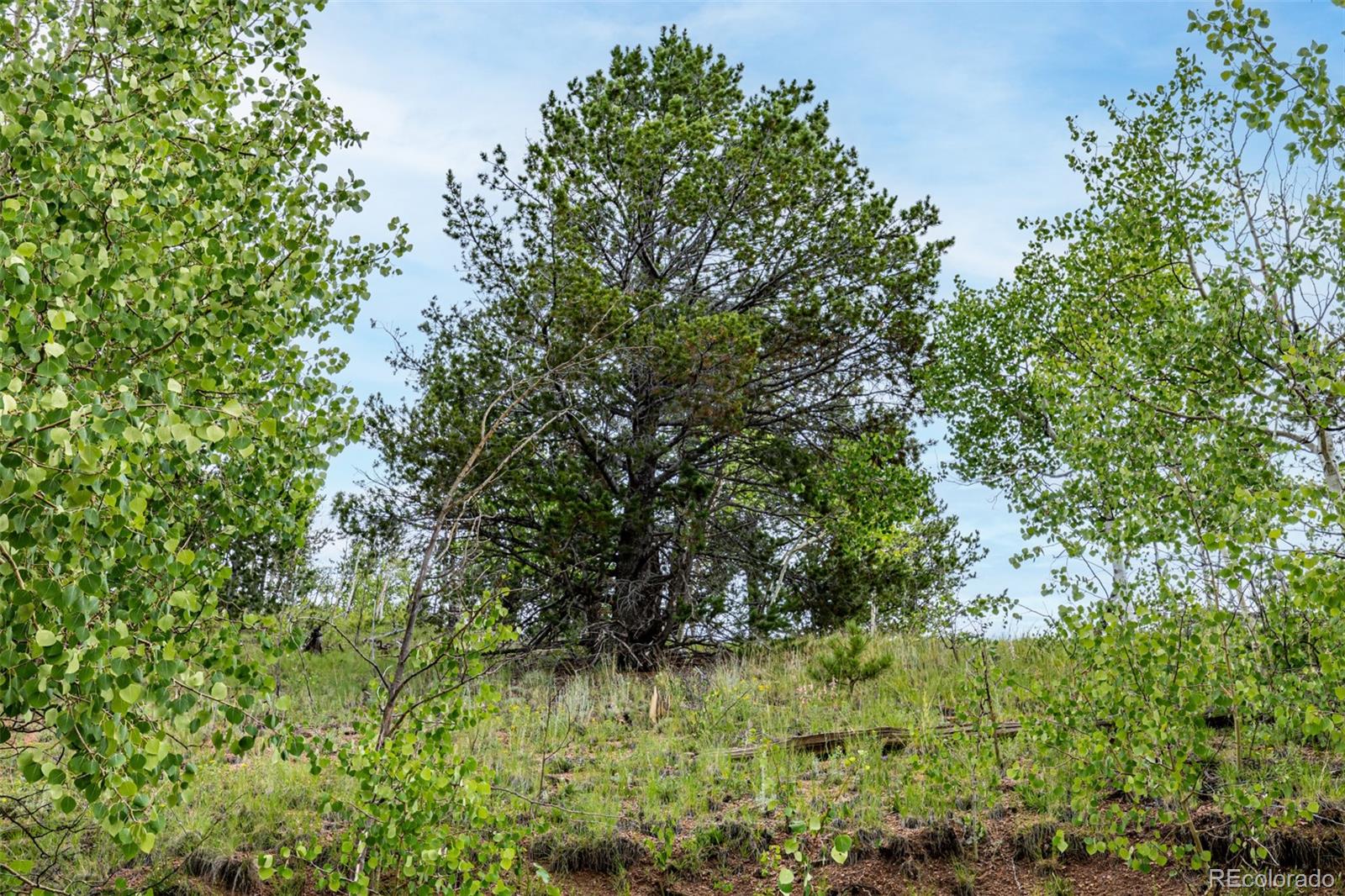 1693 Golden Cycle Circle Cripple Creek CO 80813