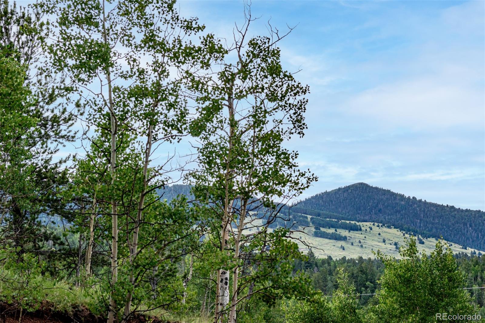 1693 Golden Cycle Circle Cripple Creek CO 80813