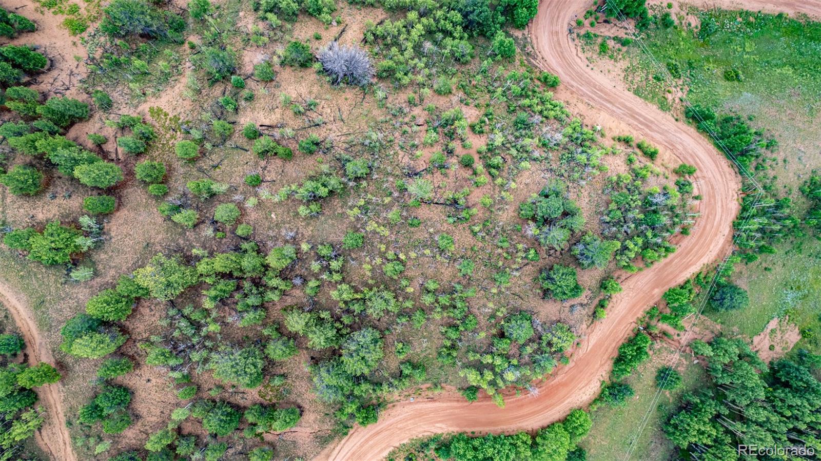 1693 Golden Cycle Circle Cripple Creek CO 80813