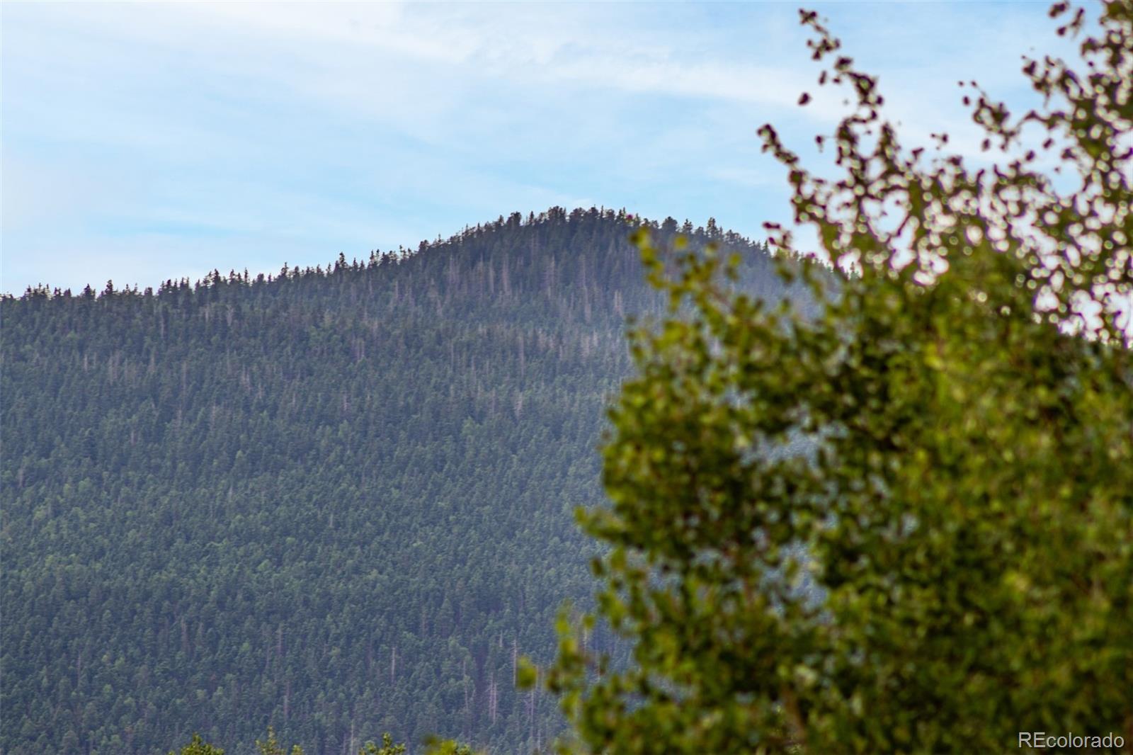 1693 Golden Cycle Circle Cripple Creek CO 80813