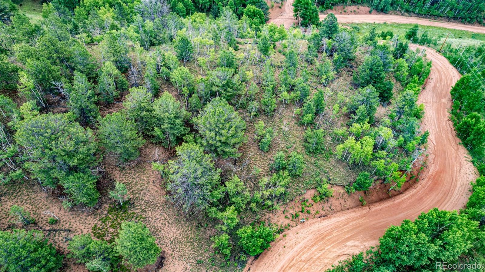 1693 Golden Cycle Circle Cripple Creek CO 80813