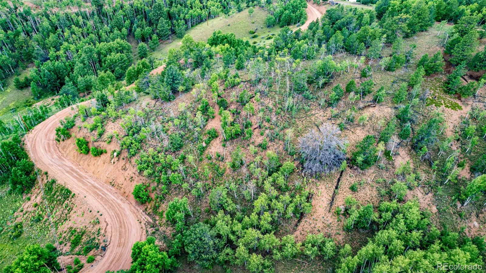 1693 Golden Cycle Circle Cripple Creek CO 80813