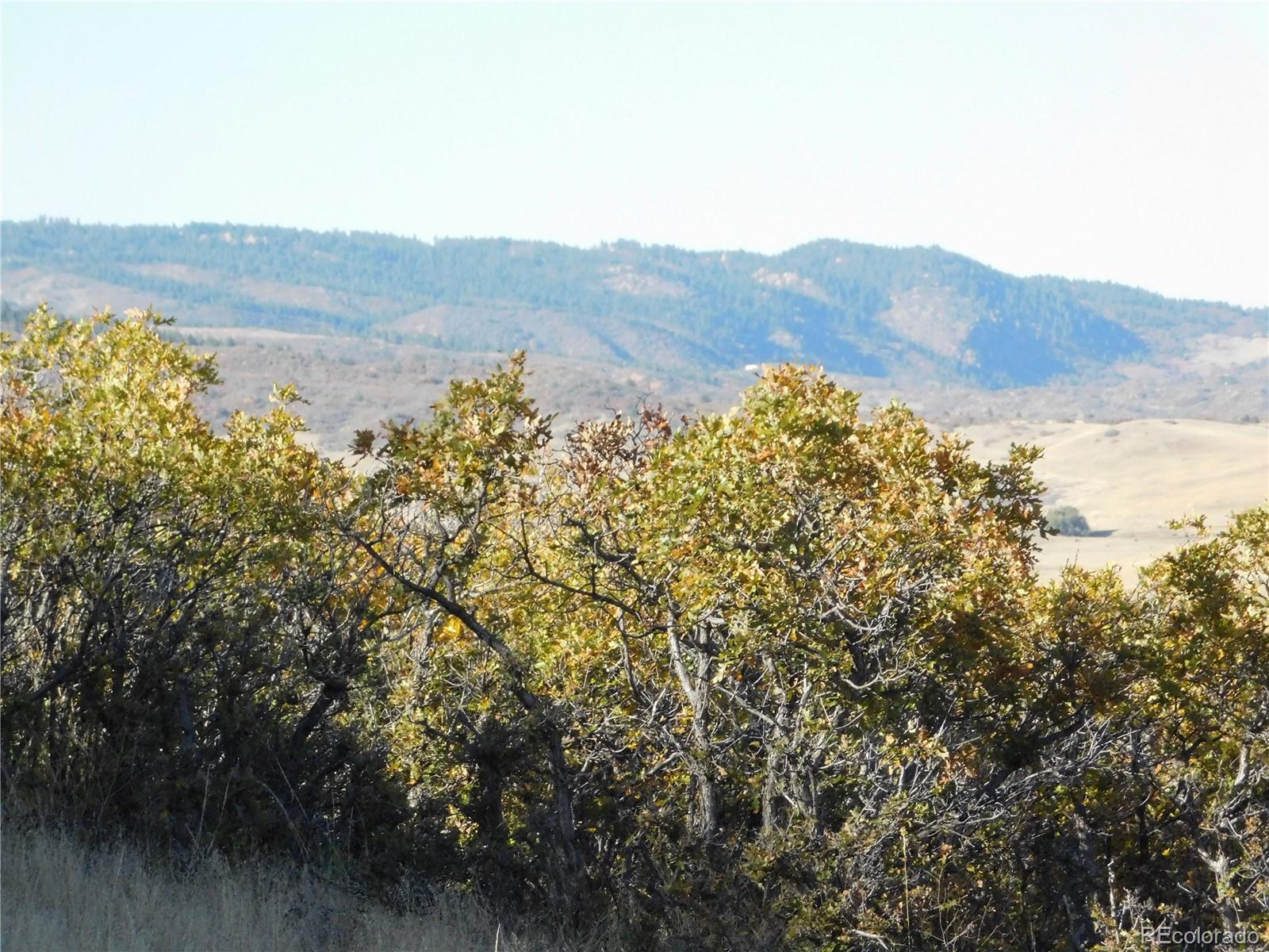 5498 Country Club Drive Larkspur CO 80118