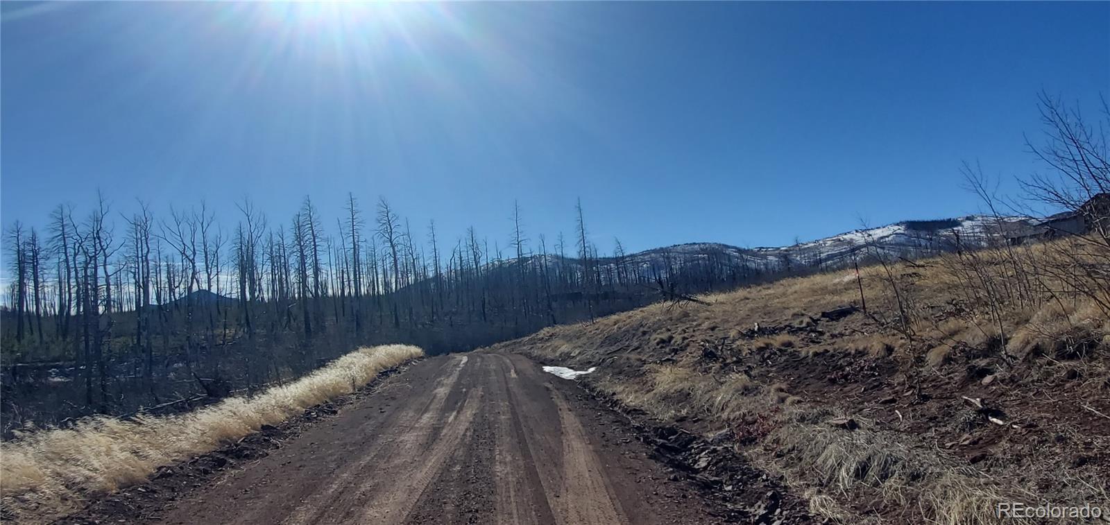 Lot 1566 Cary Lane Fort Garland CO 81133