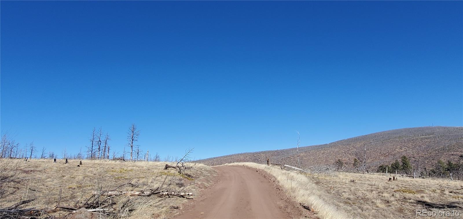 Lot 1566 Cary Lane Fort Garland CO 81133