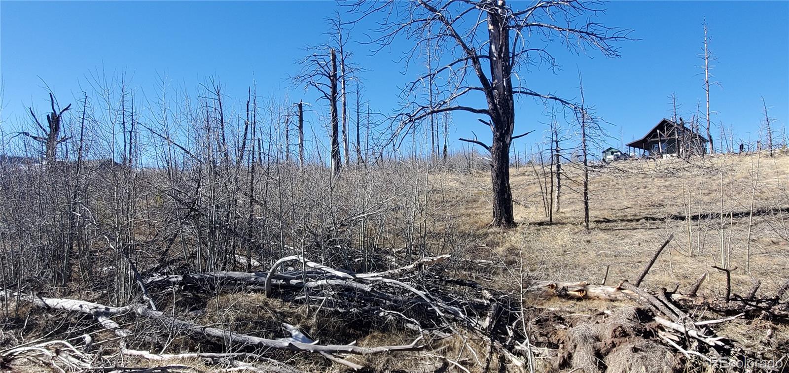 Lot 1566 Cary Lane Fort Garland CO 81133