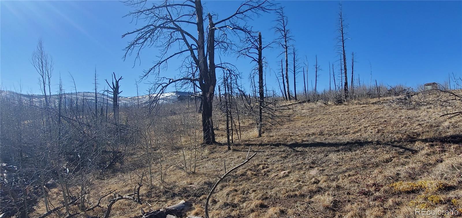 Lot 1566 Cary Lane Fort Garland CO 81133