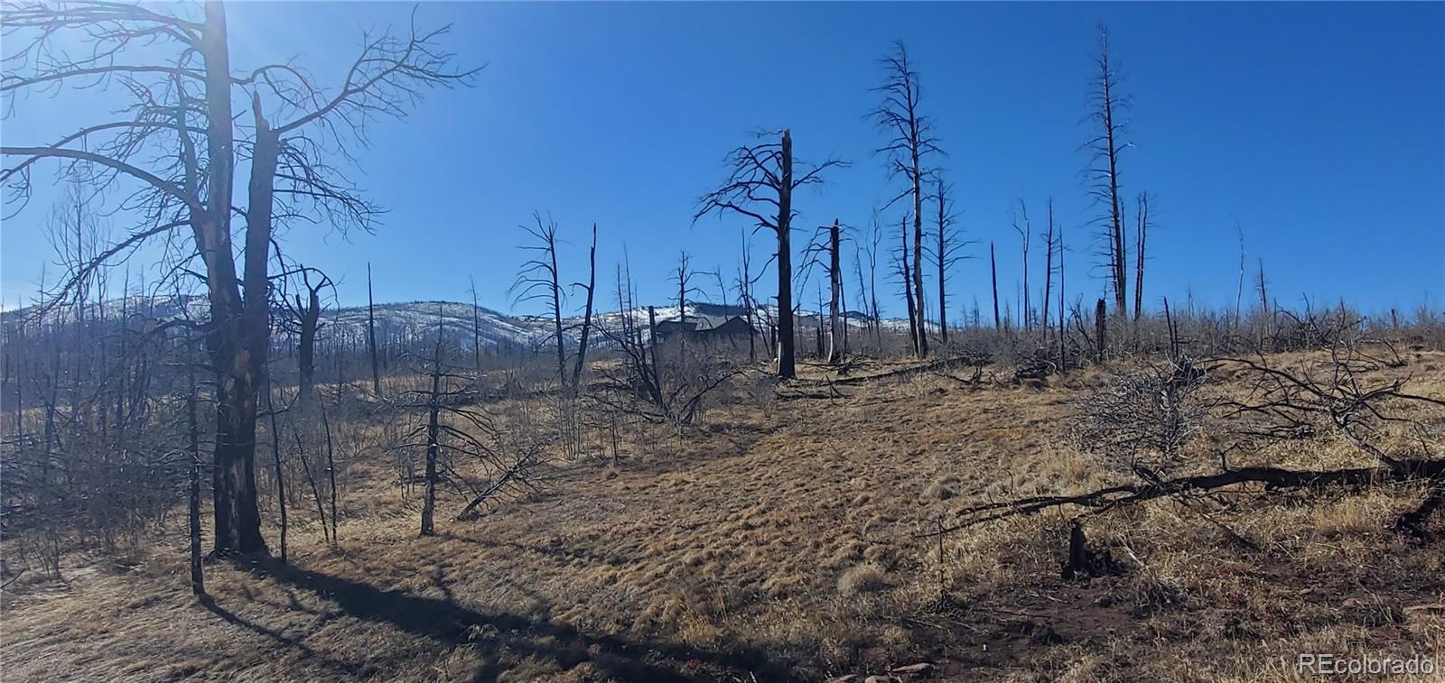 Lot 1566 Cary Lane Fort Garland CO 81133