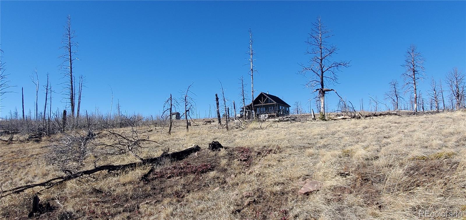 Lot 1566 Cary Lane Fort Garland CO 81133