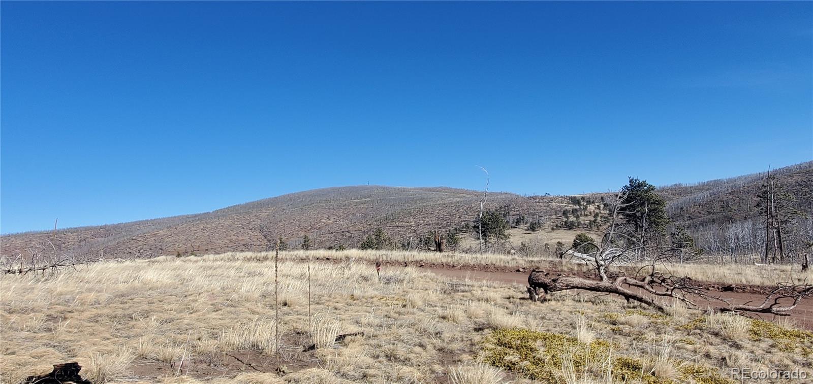 Lot 1566 Cary Lane Fort Garland CO 81133