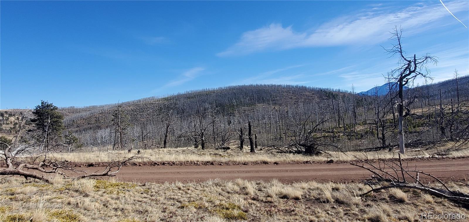 Lot 1566 Cary Lane Fort Garland CO 81133