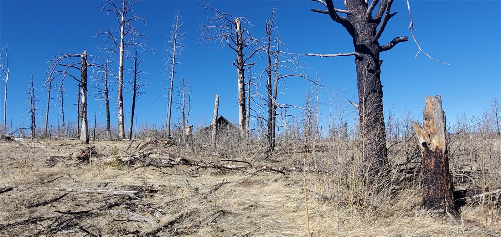 Lot 1566 Cary Lane Fort Garland CO 81133