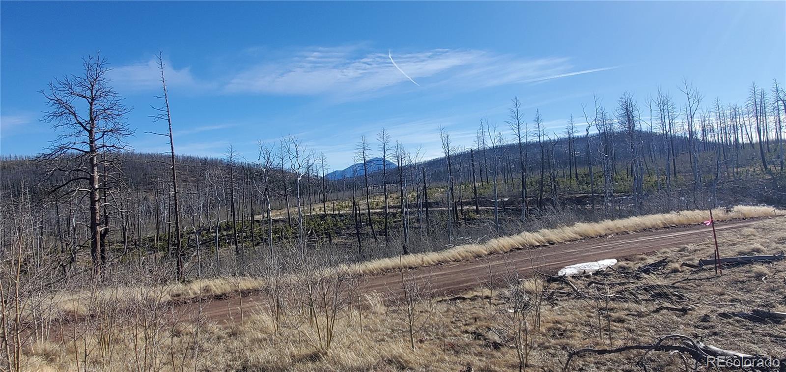 Lot 1566 Cary Lane Fort Garland CO 81133
