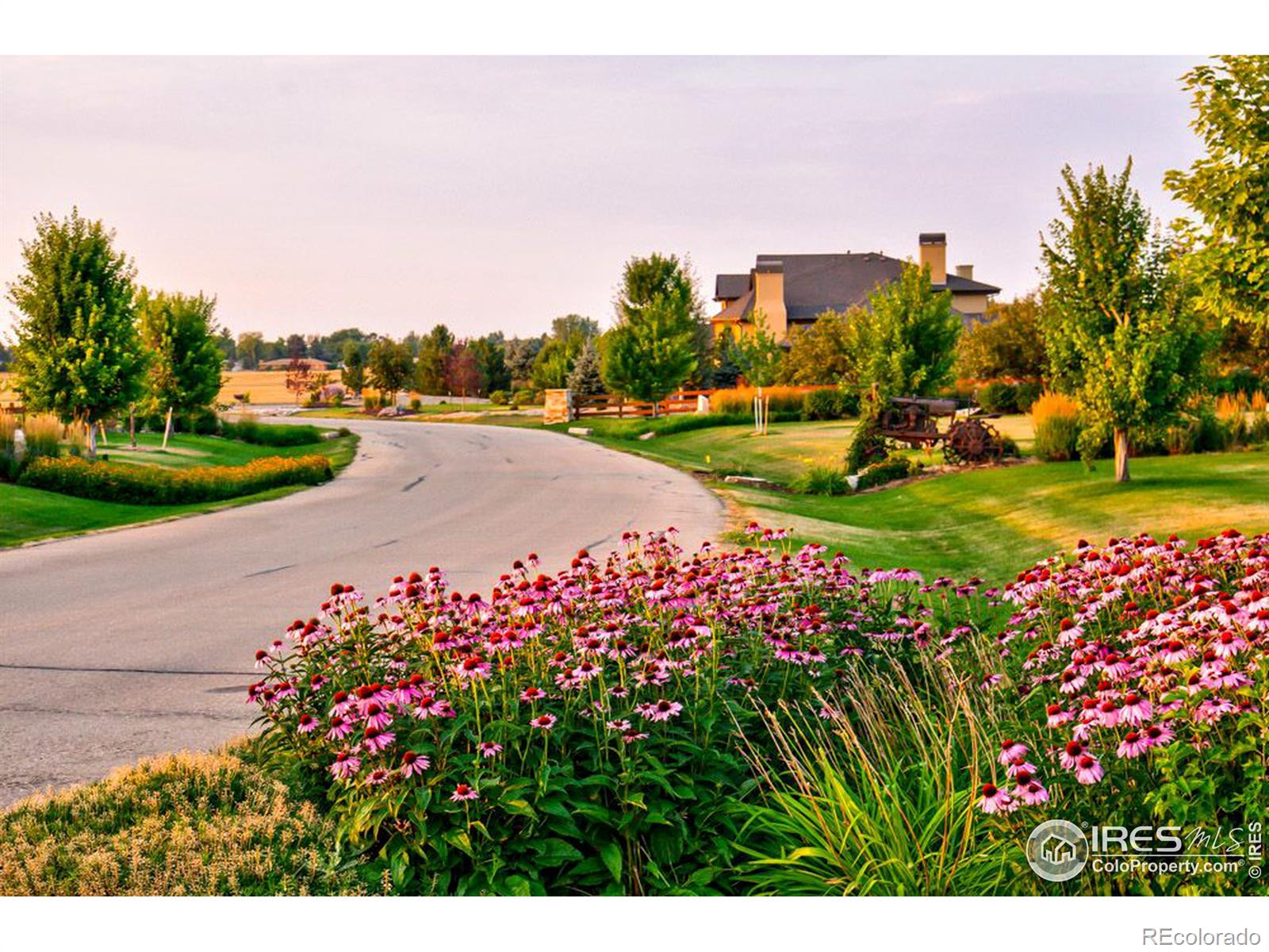 12924 Woodridge Drive Longmont CO 80504
