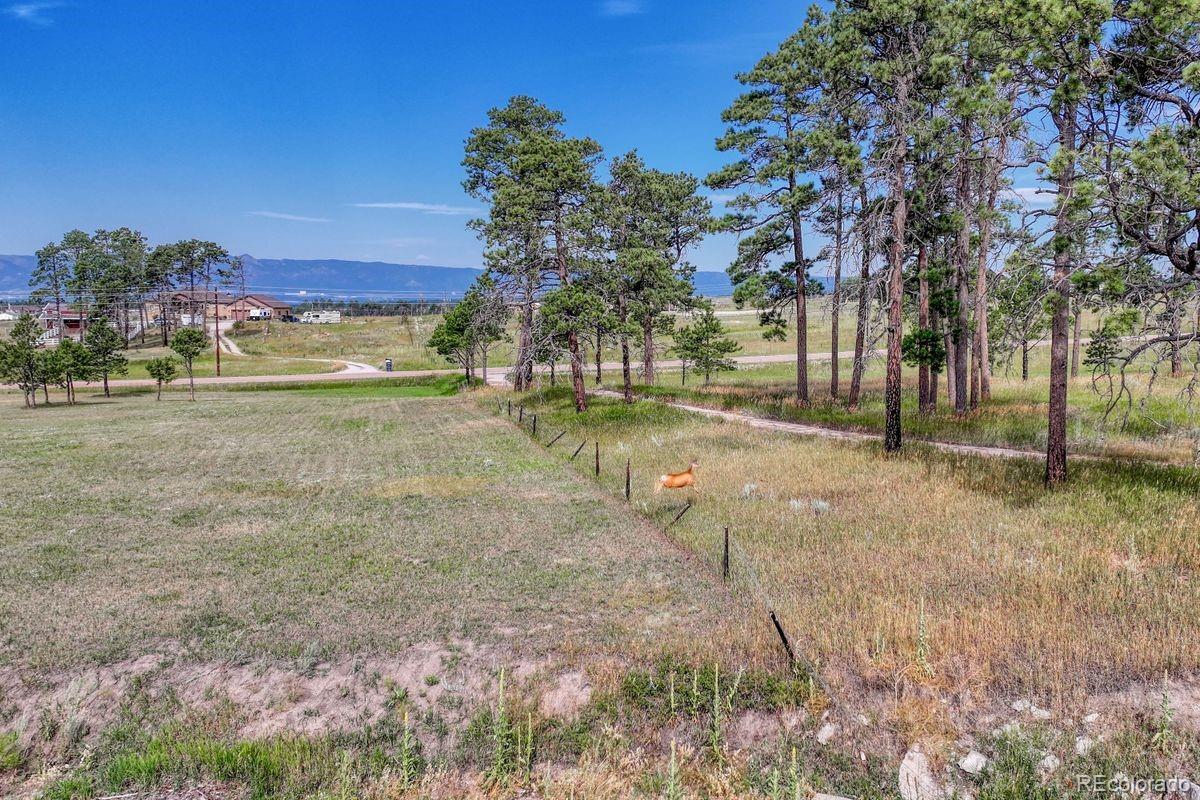 Lot 4 Forest Heights Circle Colorado Springs CO 80908