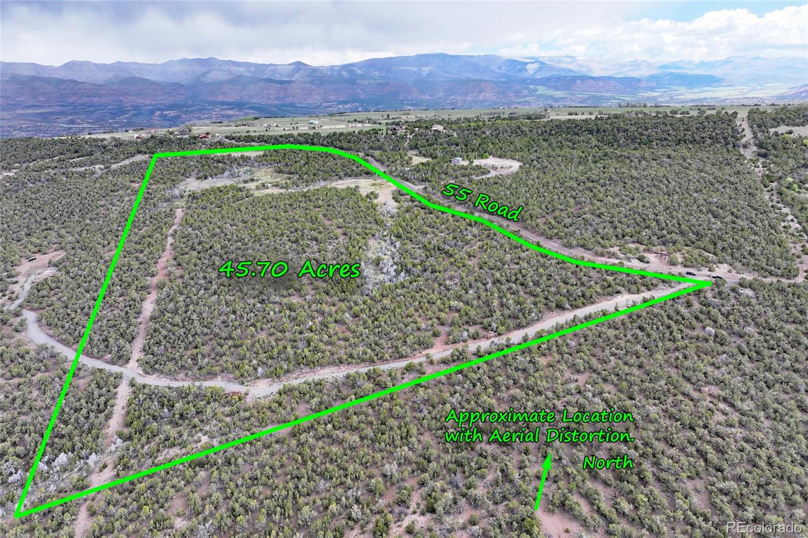 12705 55 Road Collbran CO 81624
