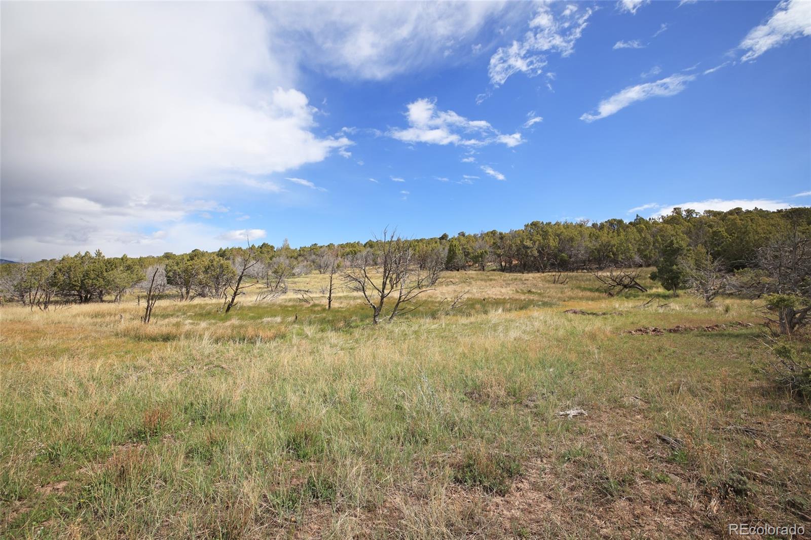 12705 55 Road Collbran CO 81624