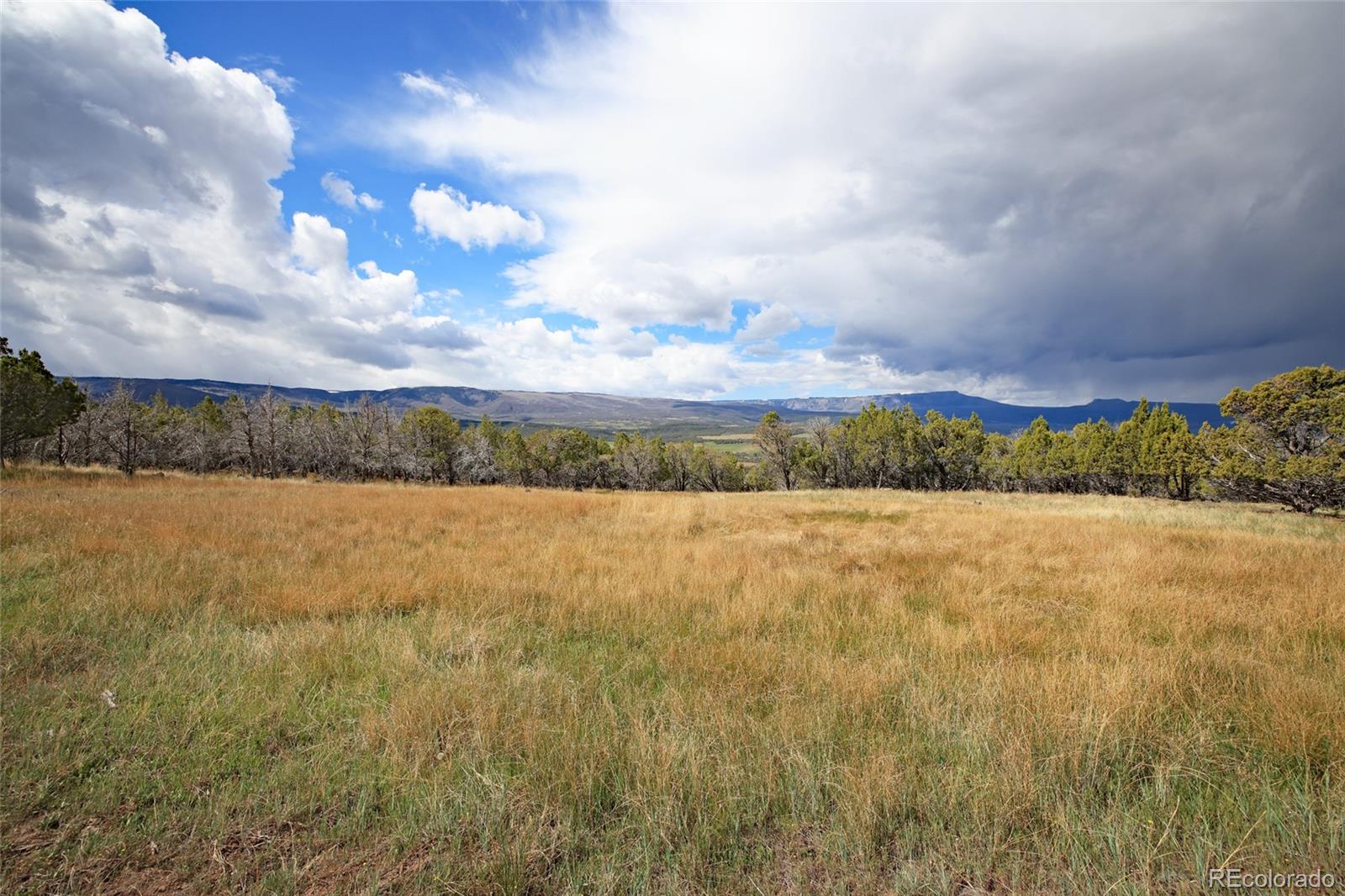 12705 55 Road Collbran CO 81624