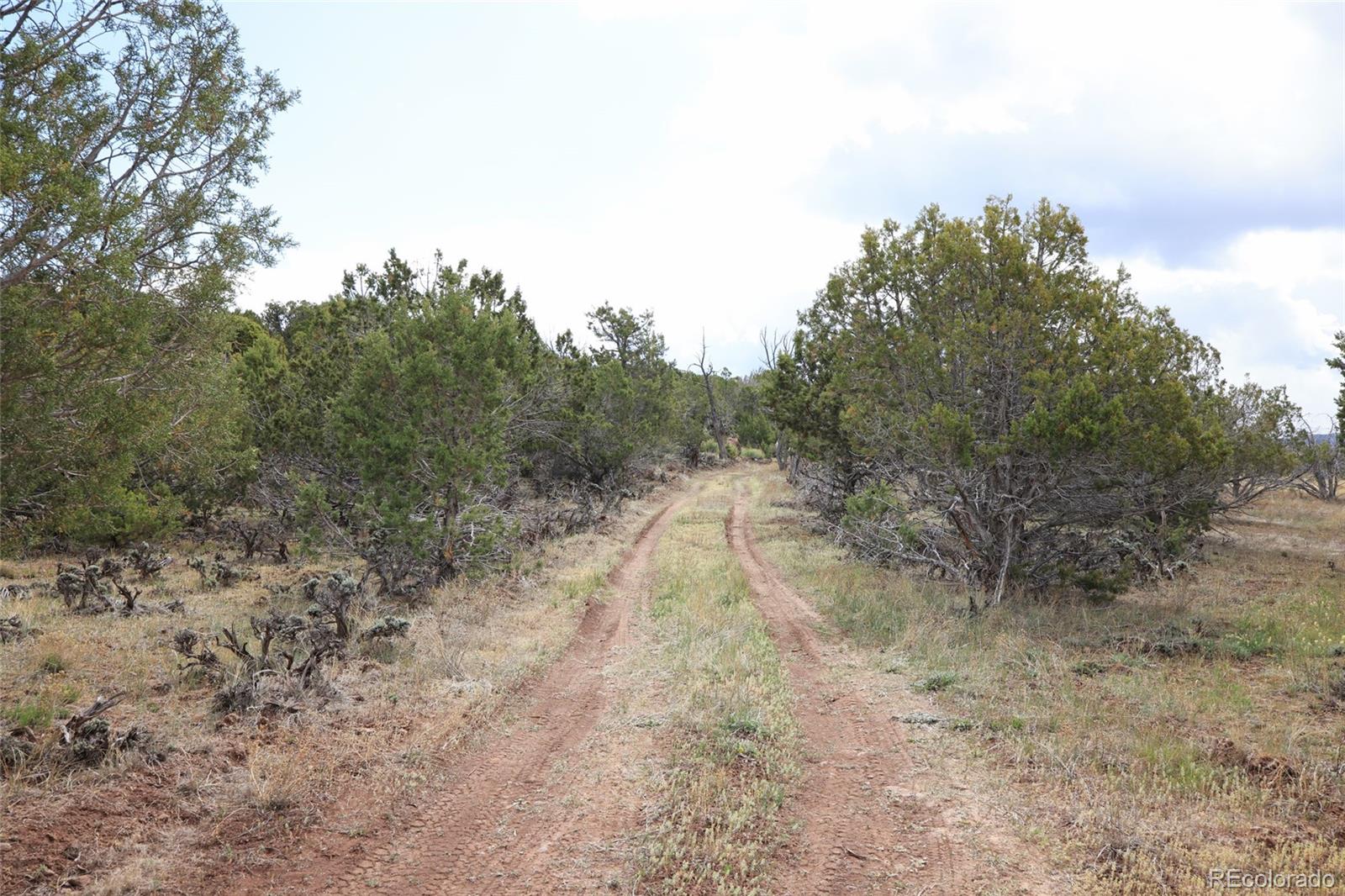 12705 55 Road Collbran CO 81624