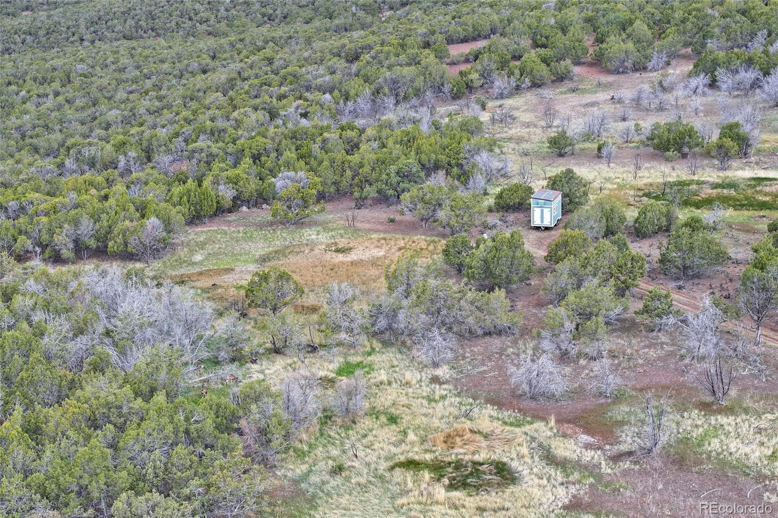 12705 55 Road Collbran CO 81624