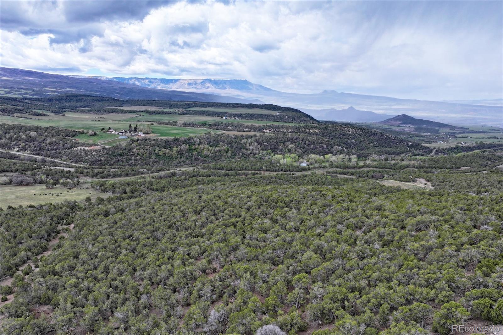 12705 55 Road Collbran CO 81624