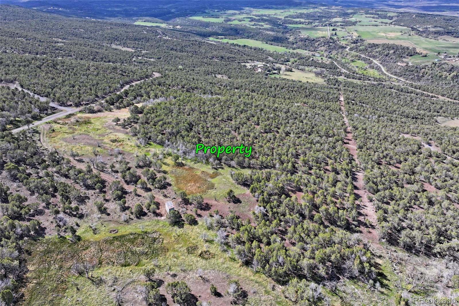 12705 55 Road Collbran CO 81624