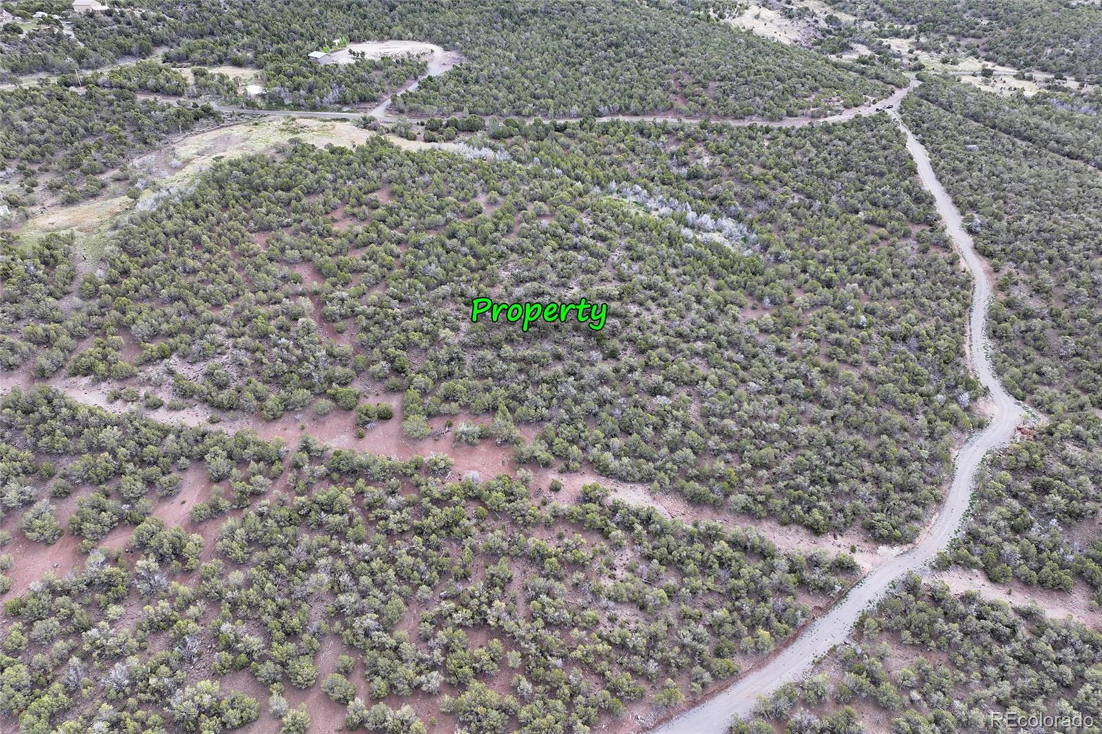 12705 55 Road Collbran CO 81624