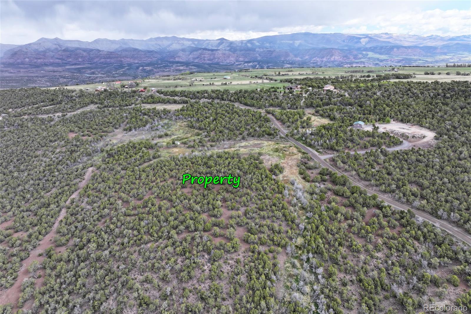 12705 55 Road Collbran CO 81624