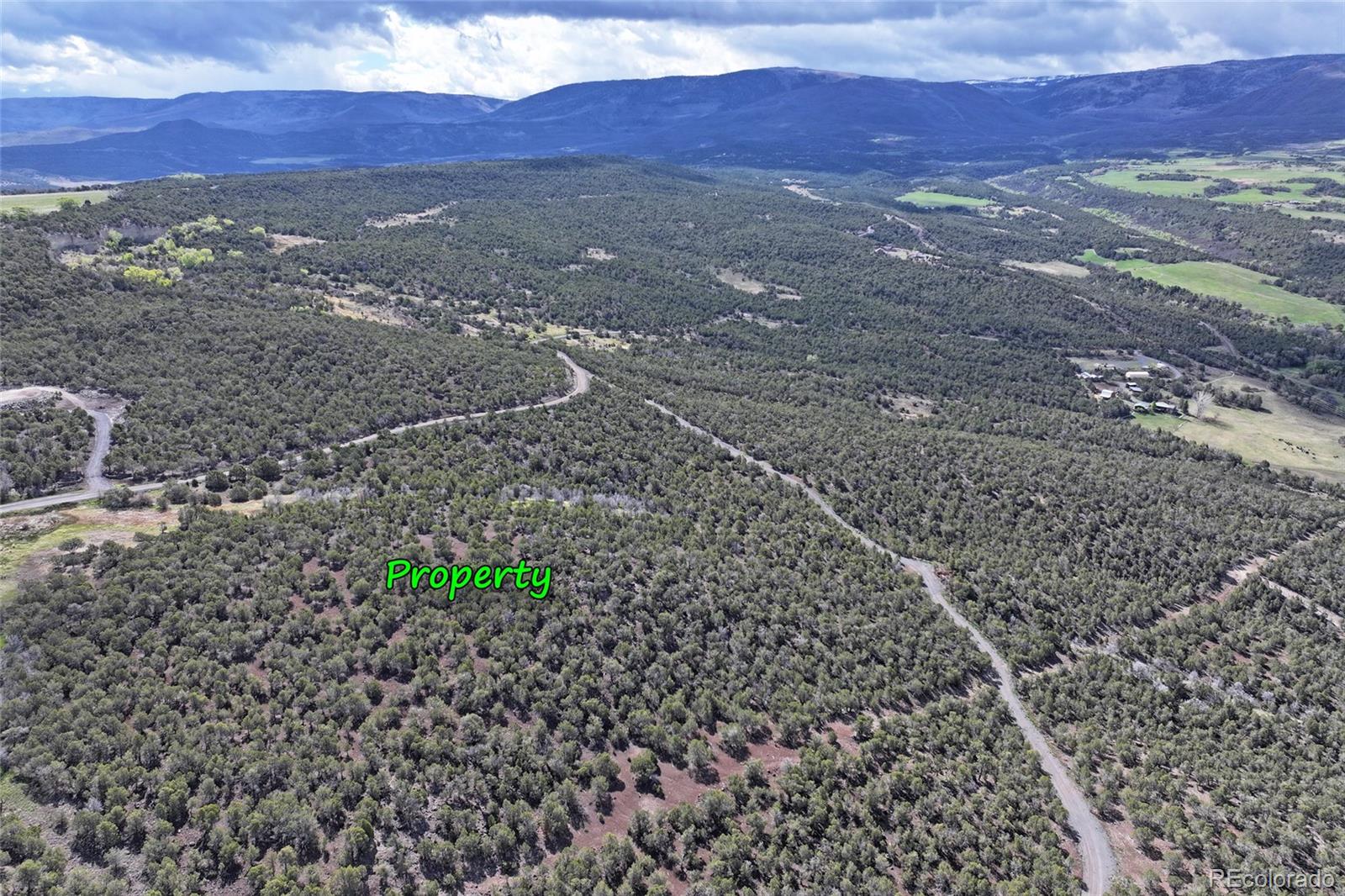 12705 55 Road Collbran CO 81624