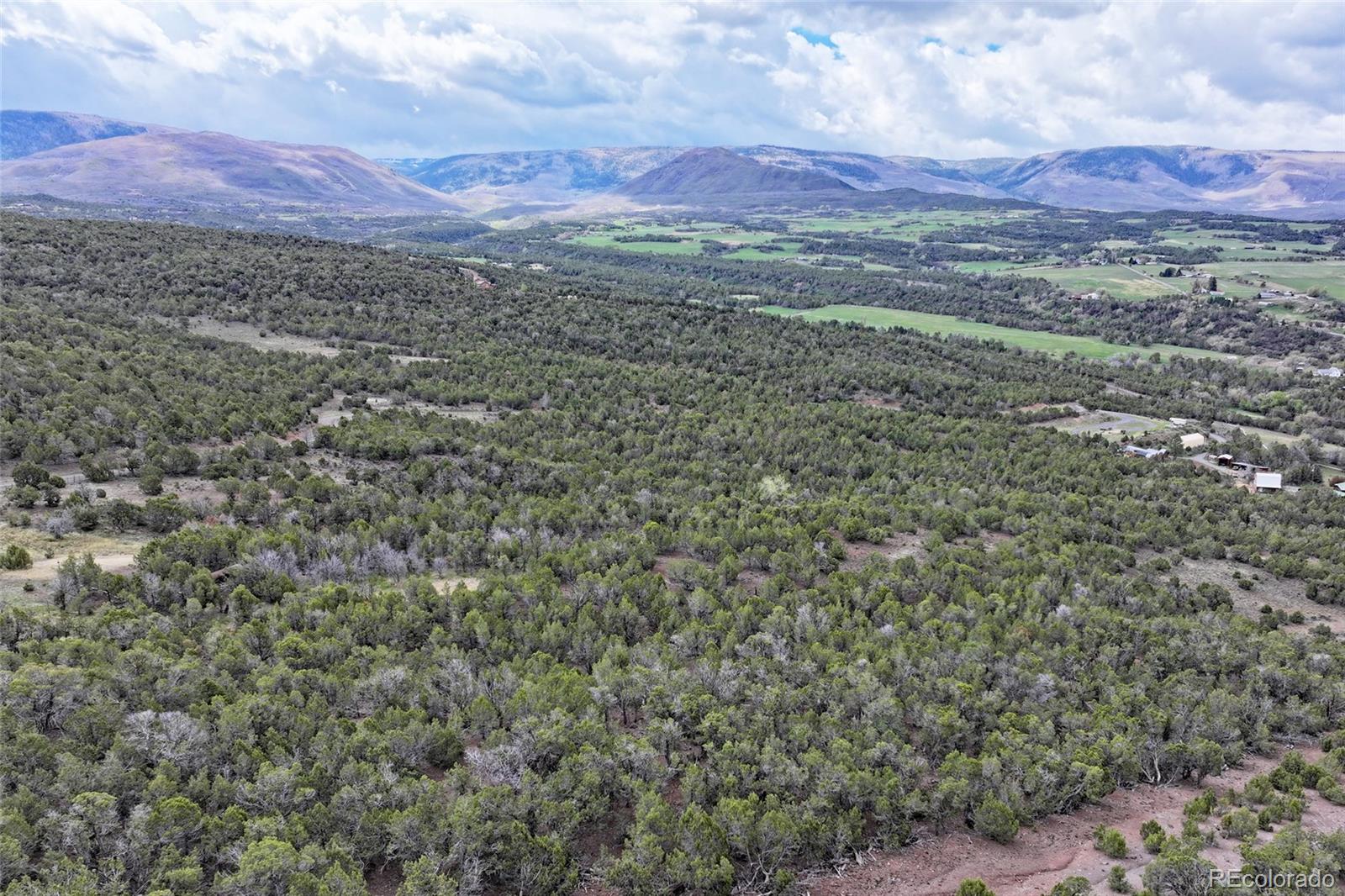 12705 55 Road Collbran CO 81624
