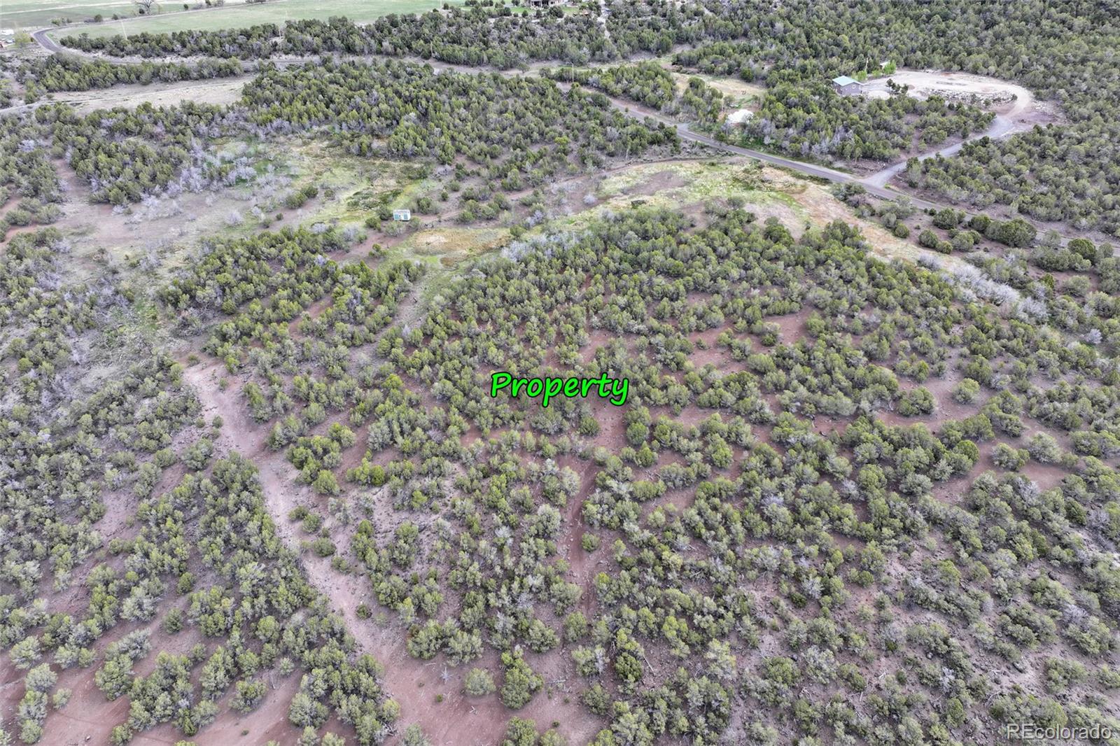 12705 55 Road Collbran CO 81624