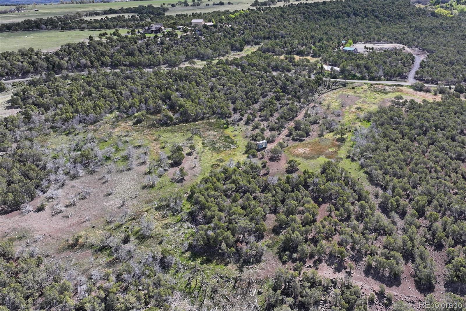 12705 55 Road Collbran CO 81624