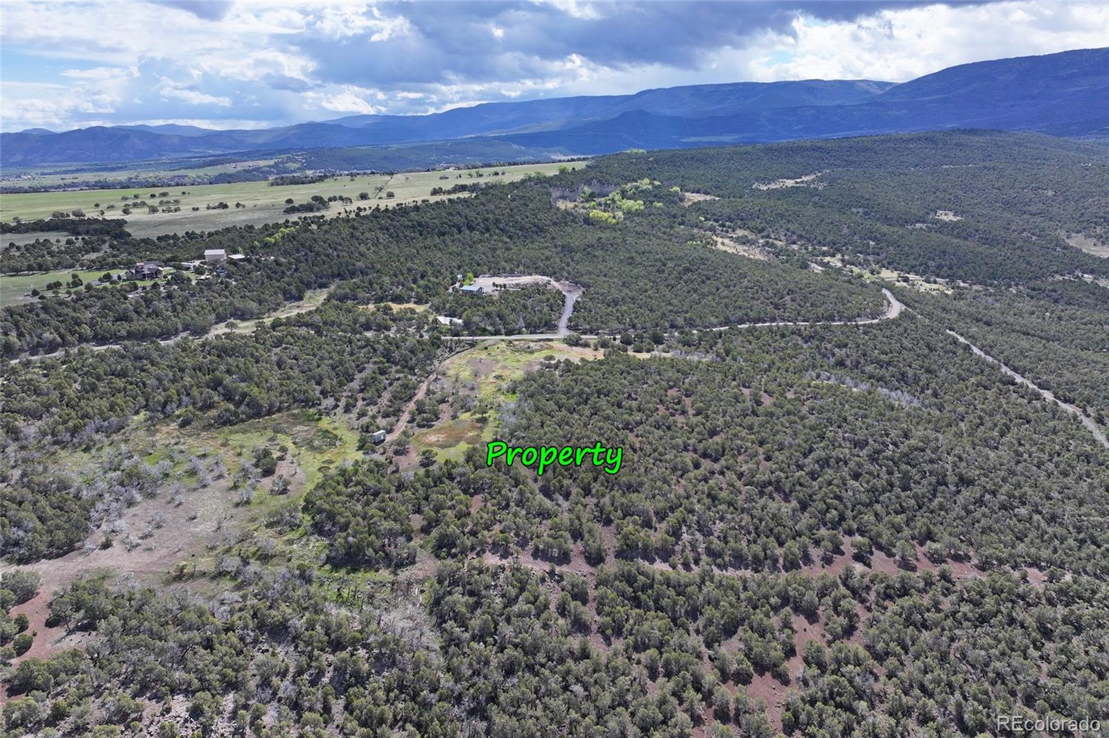 12705 55 Road Collbran CO 81624