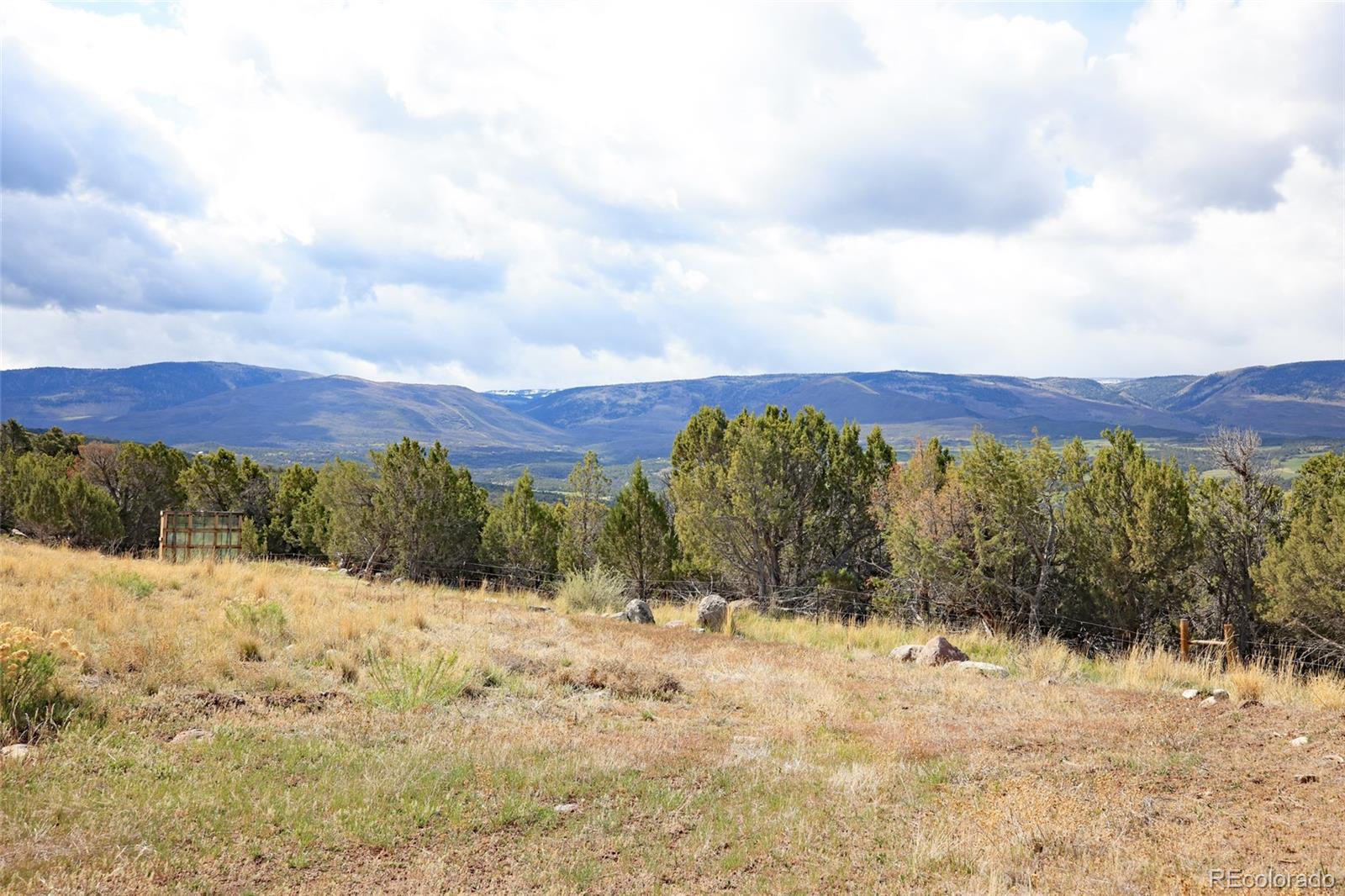 12705 55 Road Collbran CO 81624