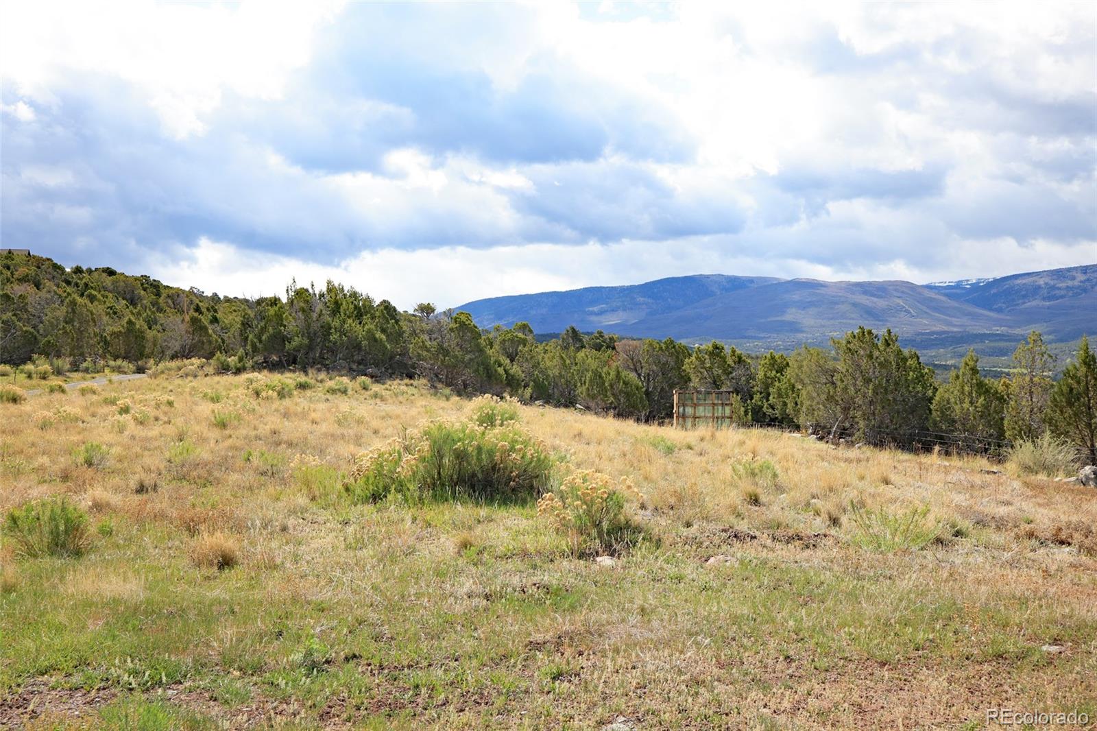 12705 55 Road Collbran CO 81624