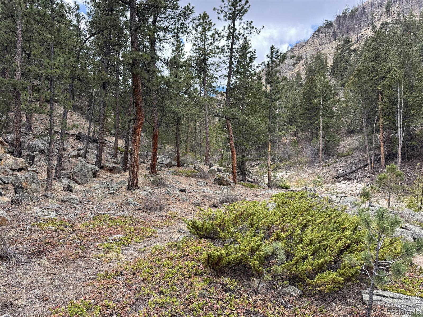 122 Black Hollow Road Bellvue CO 80512