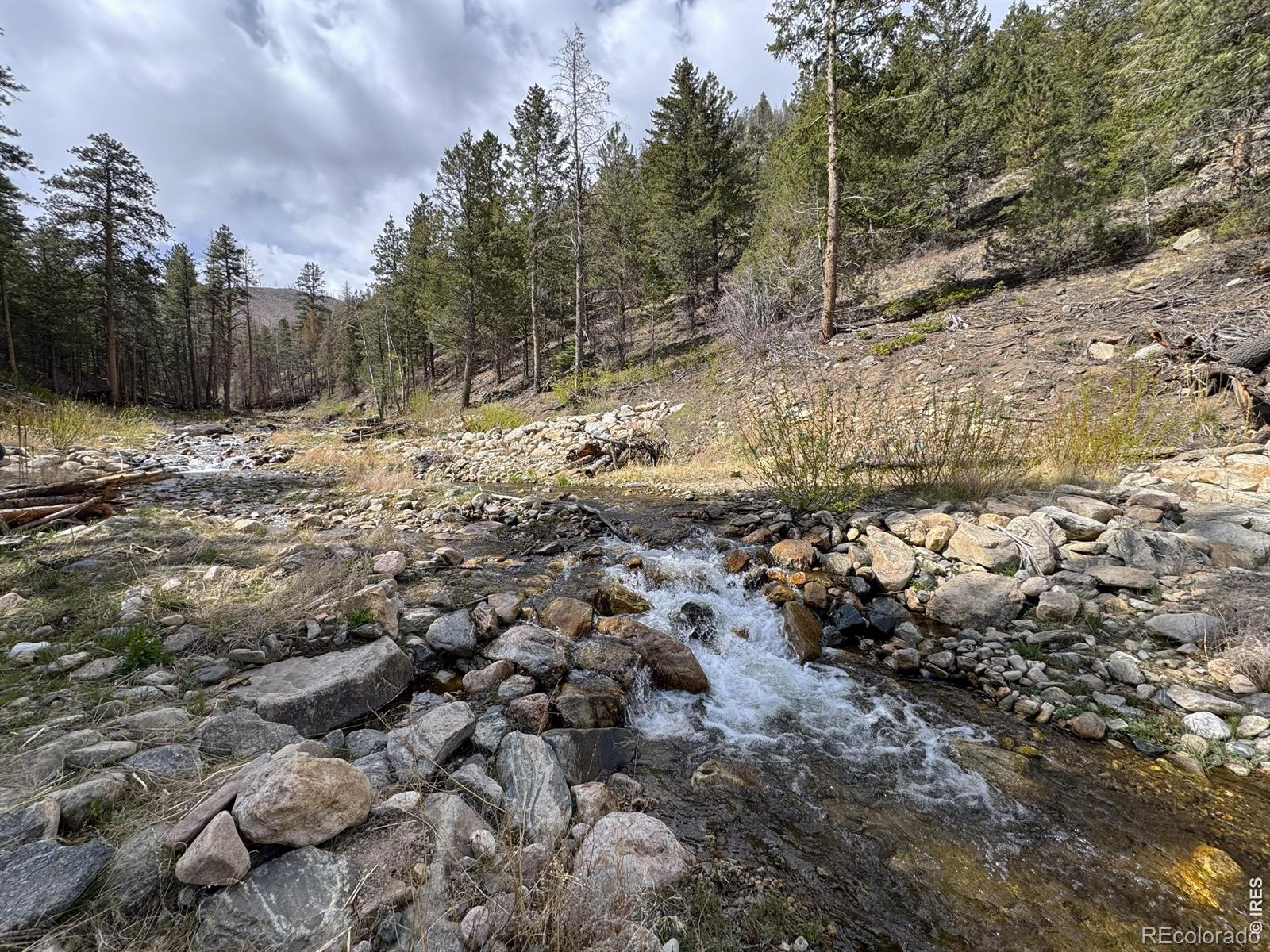 122 Black Hollow Road Bellvue CO 80512