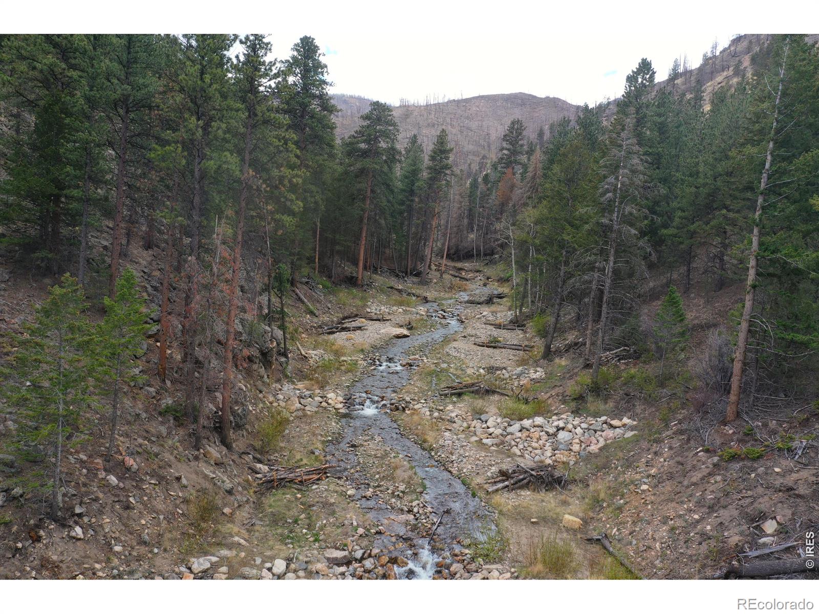 122 Black Hollow Road Bellvue CO 80512