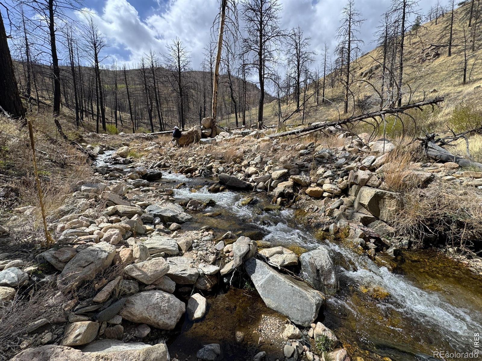 122 Black Hollow Road Bellvue CO 80512